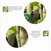 Obstbaum-Pfropffolien-Verpackung Stretchfolie Selbstklebende Bodenfolie Wasserdichte Setzlings-Pfropf-Bindeband
