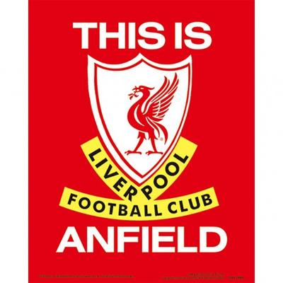 Anfield Stadium 3D Print