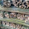 Moso Bamboo Slats for Greenhouse, Shed, and Garden Fencing