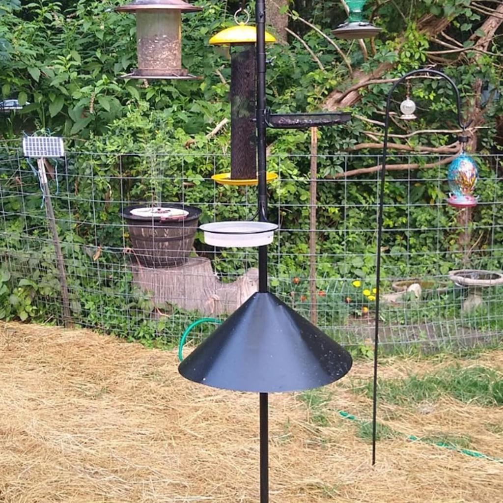 Eichhörnchenschutz 19 Zoll Durchmesser Anti-Eichhörnchen-Schutz für Vogelhäuschen im Freien - Strapazierfähiger Kunststoffstopper Schützt Samen vor Schädlingen für Wildtiere im Garten