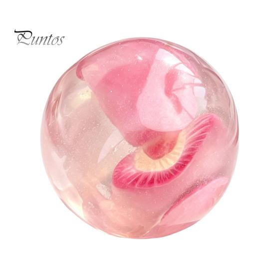 Office Desk Toys Shapeable Pearlescent Ball Fidget Toy, Anxiety Relief Clear Squeeze Fake Fruit Stress Inside Toy for Kids Adults