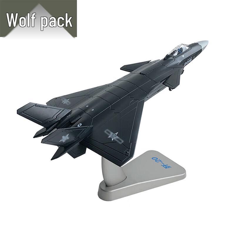 J-20 Mighty Dragon Fighter Jet Scale Model