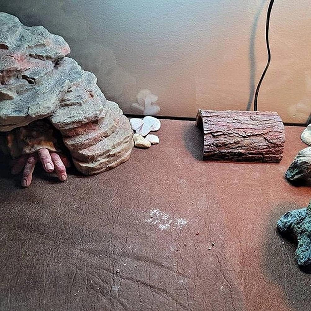 Snail Garden Decor, Snail Finger Ornament Horror Halloween Prop, Snail Hand Resin Model for Indoor Outdoor Desktop Fish Decoration