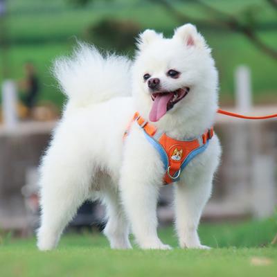 2 adet/takım evcil hayvan koşumu seti karikatür köpekler desen anti-kaçış güvenli şık göğüs kemeri tasma yürüyüş için