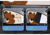 Magnetic Car Sunshade Curtains for Baby Privacy and Blackout