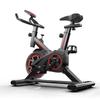YTYIN Home Spin Bike