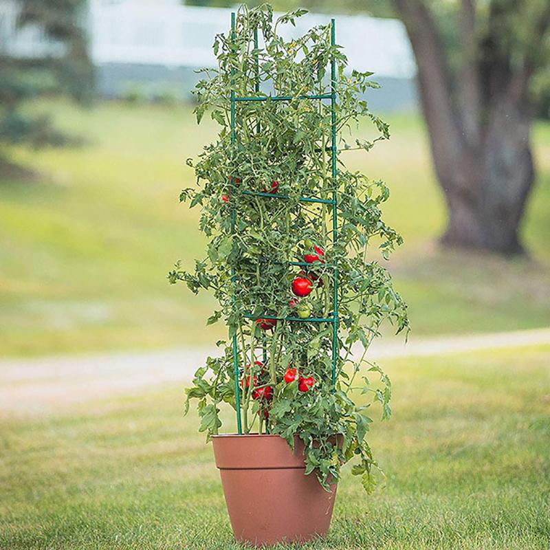 Diy Plant Supports Vegetable Growing Frame Tomato Pole Plastic-Coated Steel Trellis 80/120/160Cm Height 11Mm Thick Plant Stakes