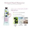 The Saem Official Japan Perfume Hand Moisturizer, Blackberry 0739, Moisturizing Hand Cream