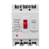 Renmin DZ15 Dual/Triple-Phase Circuit Breaker with Leakage Protection