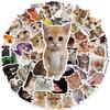 10/50/100/200pcs Cute Animal Cat Stickers Kawaii Girls Kids Funny Kitten MEME Graffiti Decal Toy Waterproof DIY Phone Case Bike