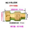 DN15 DN20 DN25 1/2" 3/4" 1" BSP Femmina Maschio Ottone Valvola di Ritegno Unidirezionale Non Ritorno Per Installazione Prima O Dopo il Contatore dell'Acqua