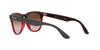 Sunglasses RB4471 IRIS 663113 GRAY ON TRANSPARENT RED 54 [Ray-Ban]