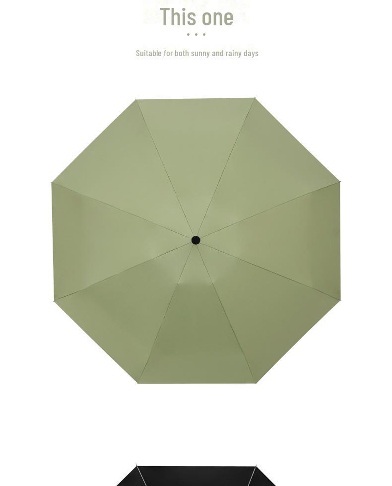 2022 New 8-Rib Sun Umbrella - 50% Off Creative Auto Open UV Protection Parasol for Women