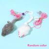 Interactive Cat Toy Hanging Simulation Teaser Wand Kitten Self-Play Funny Toy Pet Cat Hunting Supplies Keep Cat Energetic