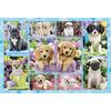 Puzzle Animaux Chiots - SCHMIDT SPIELE - 200 Pièces - Enfant 8 Ans Et Plus