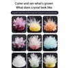 Crystal Planting DIY Scientific Experiment Set, Fun Parent-child Communication, Chemical Experiment, Crystallization Principle