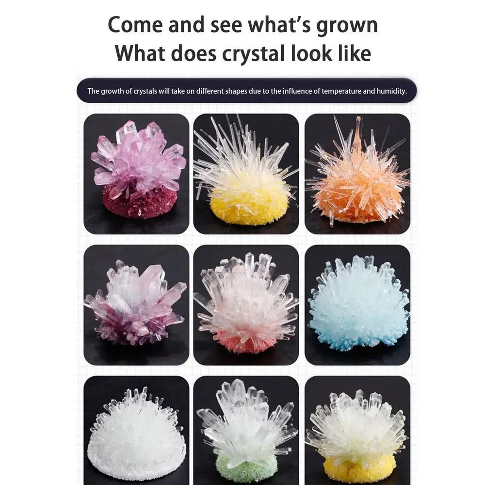 Crystal Planting DIY Scientific Experiment Set, Fun Parent-child Communication, Chemical Experiment, Crystallization Principle