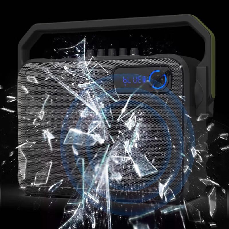 Philips SD68 Outdoor KTV Speaker