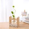 Wood & Glass Hydroponic Bottle - Simple Modern Home Decor