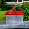 Compact Transparent Plastic Fish & Turtle Tank with Climbing Platform