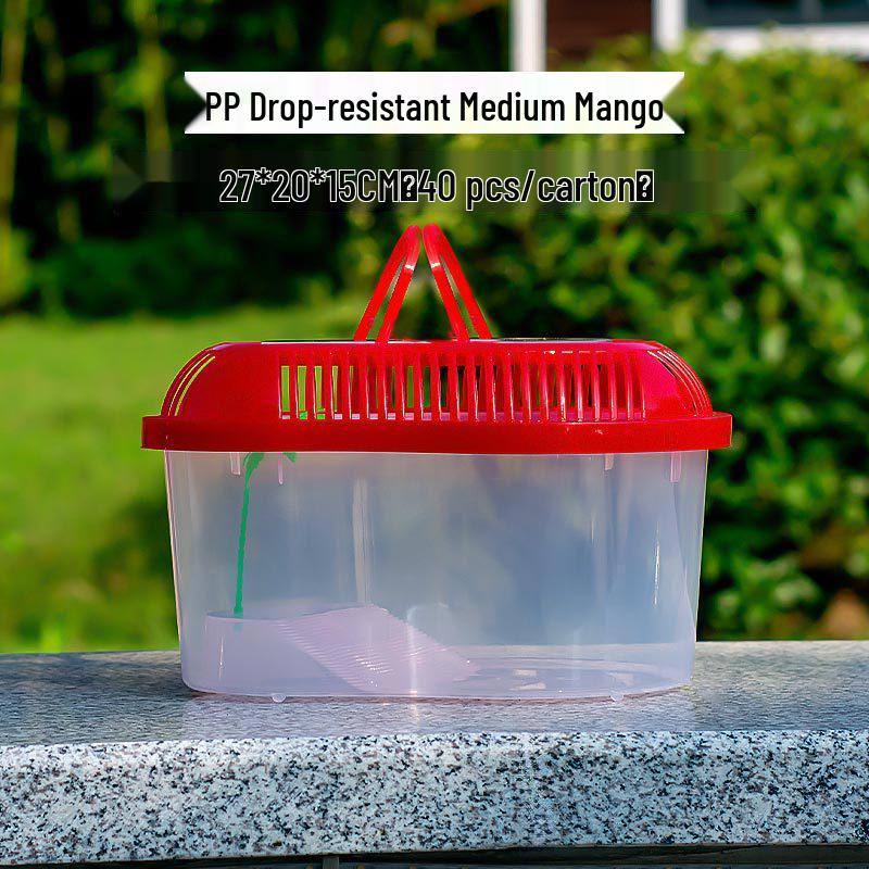Compact Transparent Plastic Fish & Turtle Tank with Climbing Platform