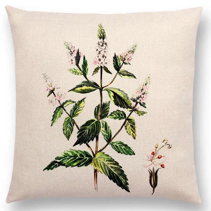 Lovely Birds Flowers Plants Sofa Pillow Case Hummingbird Rose Raspberries Lemon Dill Clove Almonds Cushion Cover