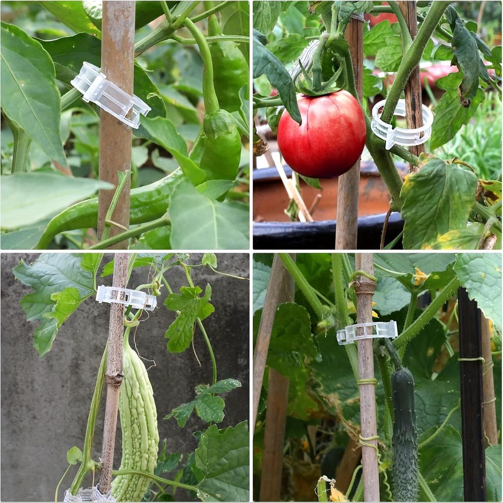 100Pcs Plant Fixing Clip - Plastic Lattice Plant Support Clip for Support, Grape and Tomato Vines, Vegetable Plants