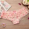Cute Lace Low Waisted Panties with Mesh and Sexy Women's Panties