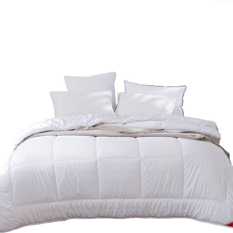 

Mengjie Gentle Breeze & Warmth Winter Polyester Comforter
