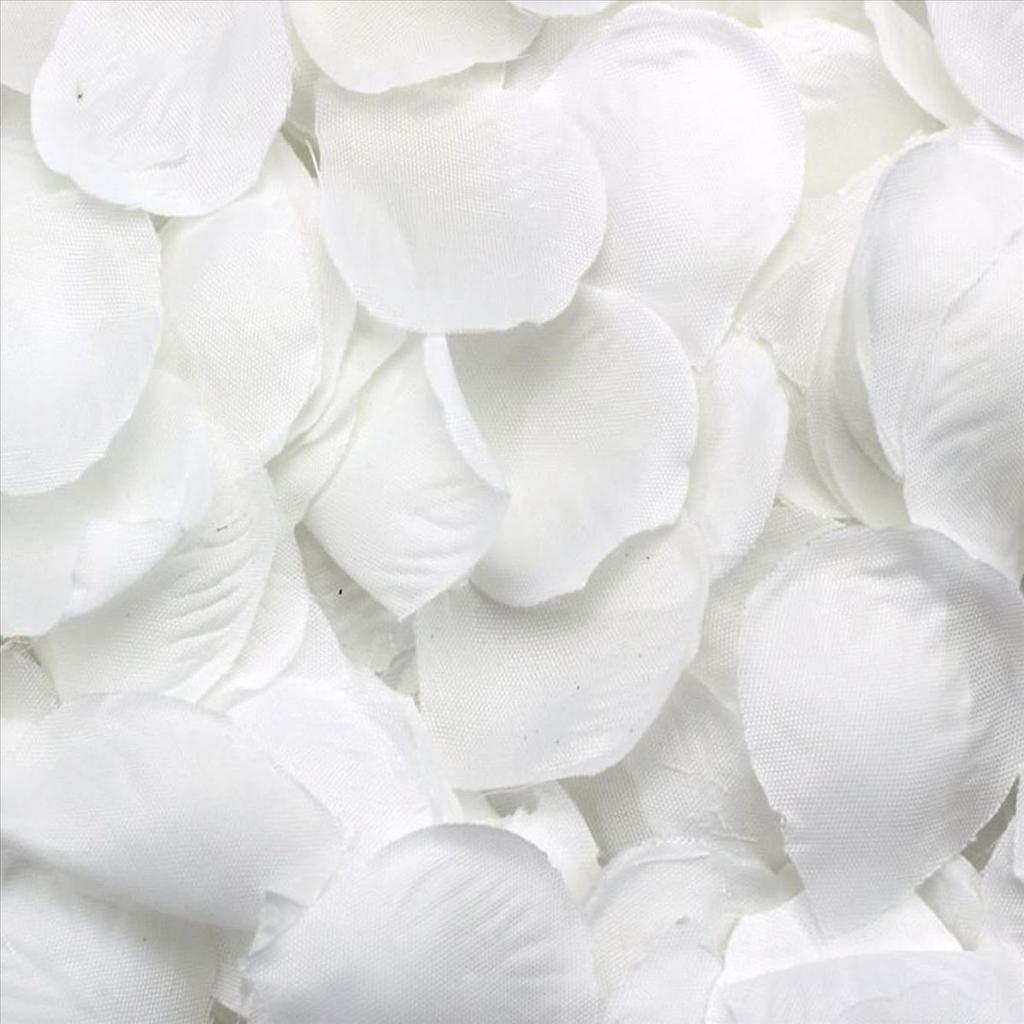 ABUL-5000 Rose Petals Scattered White Decoration Wedding Party