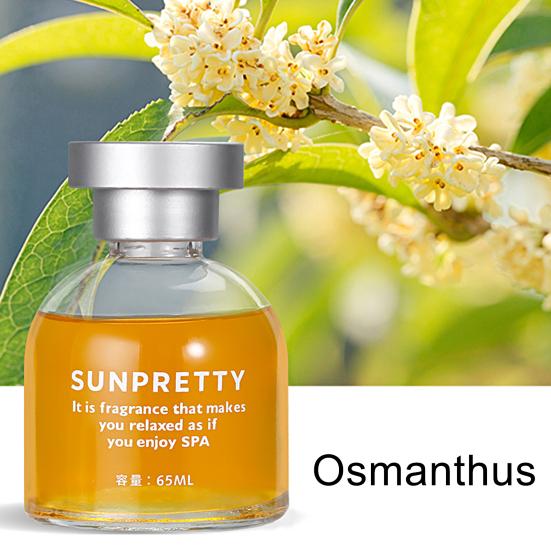 Stylový parfém do auta Trvalý efekt Bezpečné Dlouhé auto Láhev zdravé vůně Difuzér esenciálního oleje Aromaterapie