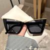 Cat Eye Fashion Sunglasses For Women Men Casual Anti Glare Sun Shades For Party Beach Travel Sunglasses