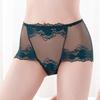 3XL Plus Größe Spitze Höschen Hohe Taille Frauen Hosen Sexy Hohl Blumen Dessous Weibliche Mesh Atmungsaktive Briefs Dessous 4XL