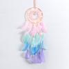 Colorful True Feather Dream Catcher Lights Up Creative Dreamcatcher Girls Practical Special Birthday Gifts Home Decoration