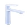 TLXT Basin Hot & Cold Water Faucet