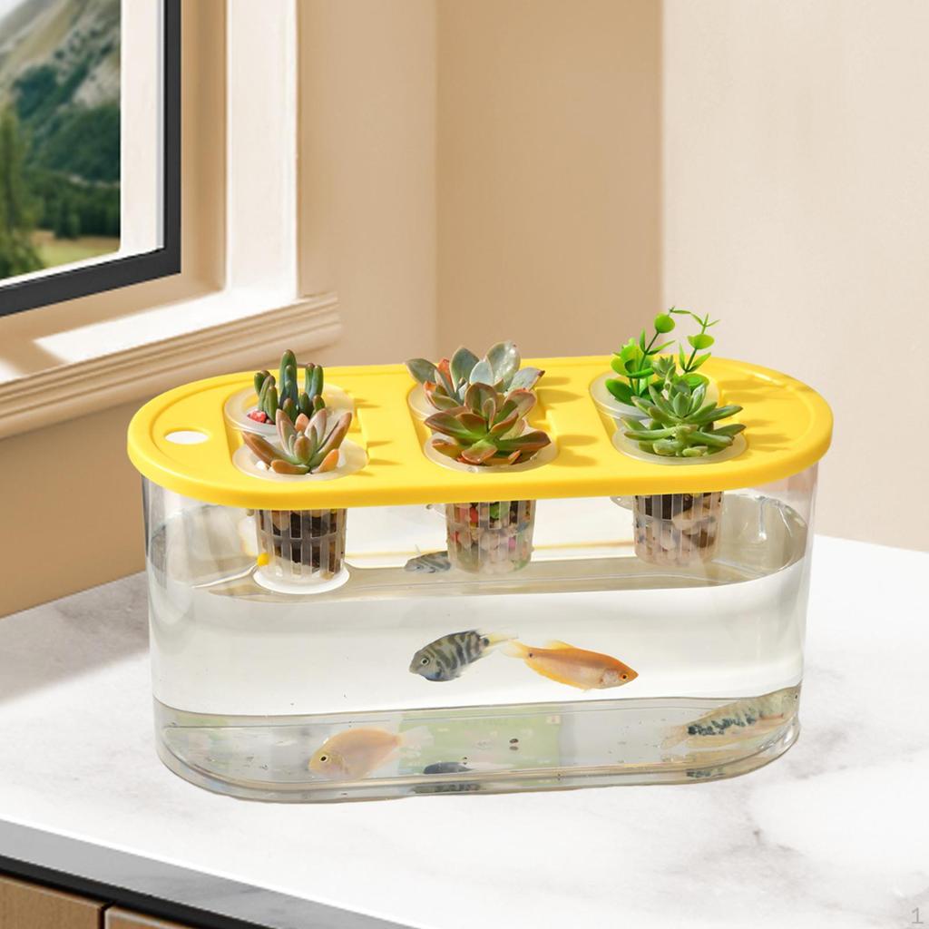 Grower Box Transparent Planting 6 Holes Practical Rectangular Container for Home