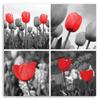 Leinwanddruck, Rote Tulpen Blumen Collage