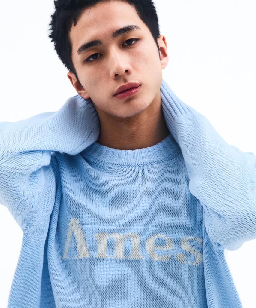 AMES-WORLDWIDE Basic Pullover Knit Light Blue