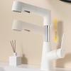 TLXT Pull-Out Basin Faucet
