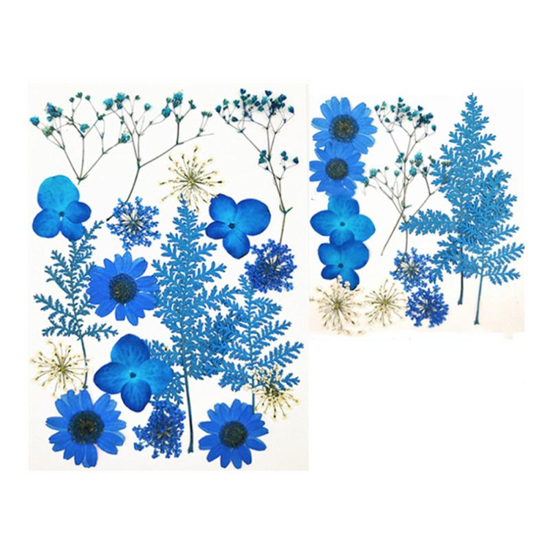 4 Inch 6 Inch Diy Glass Photo Frame Handmade Creative Simple Dried Flower Picture Frame Minimalist