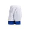 adidas Reversible Color Block Basketball Training Shorts Men Shorts Blue DY6601