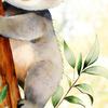 Removable Koala Window Cling Cute Koala on Branch Sticker Watercolor Animal Static PVC Decals for Kids Baby Bedroom Nursery