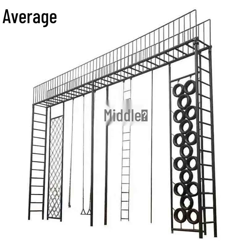 Multi-Activity Climbing Frame