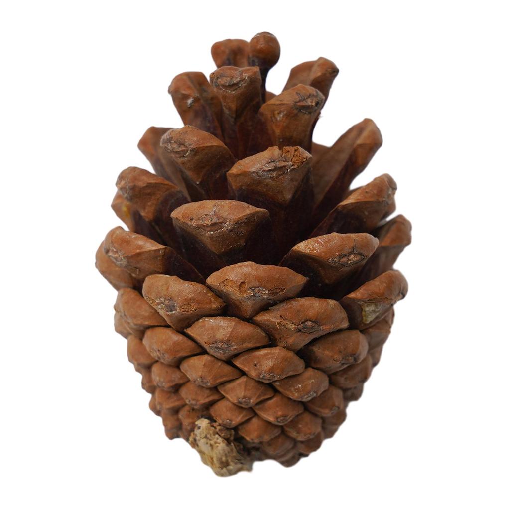 Halloween Fall Harvest Decor Props Artificial Vegetable Gourd Acorn Maple Leaf