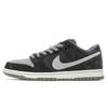 Dunk SB Skateboard Shoes Unisex Low Top Gray HF3063-002(Team-)-Random Packaging Bags