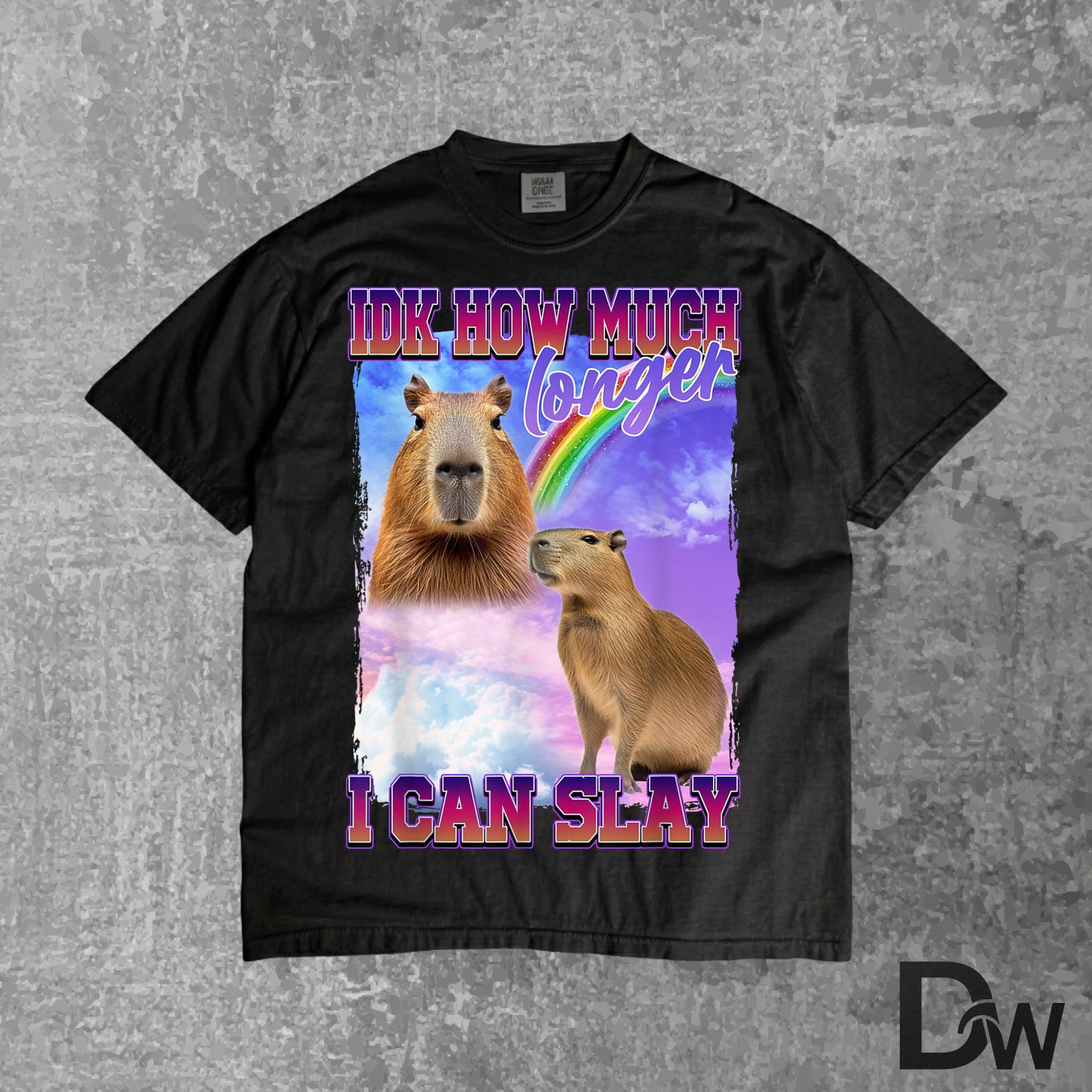 IDK How Much Longer I Can Slay Capybara T-Shirt | Funny Tired Meme Tee, Capybara Lover Gift S