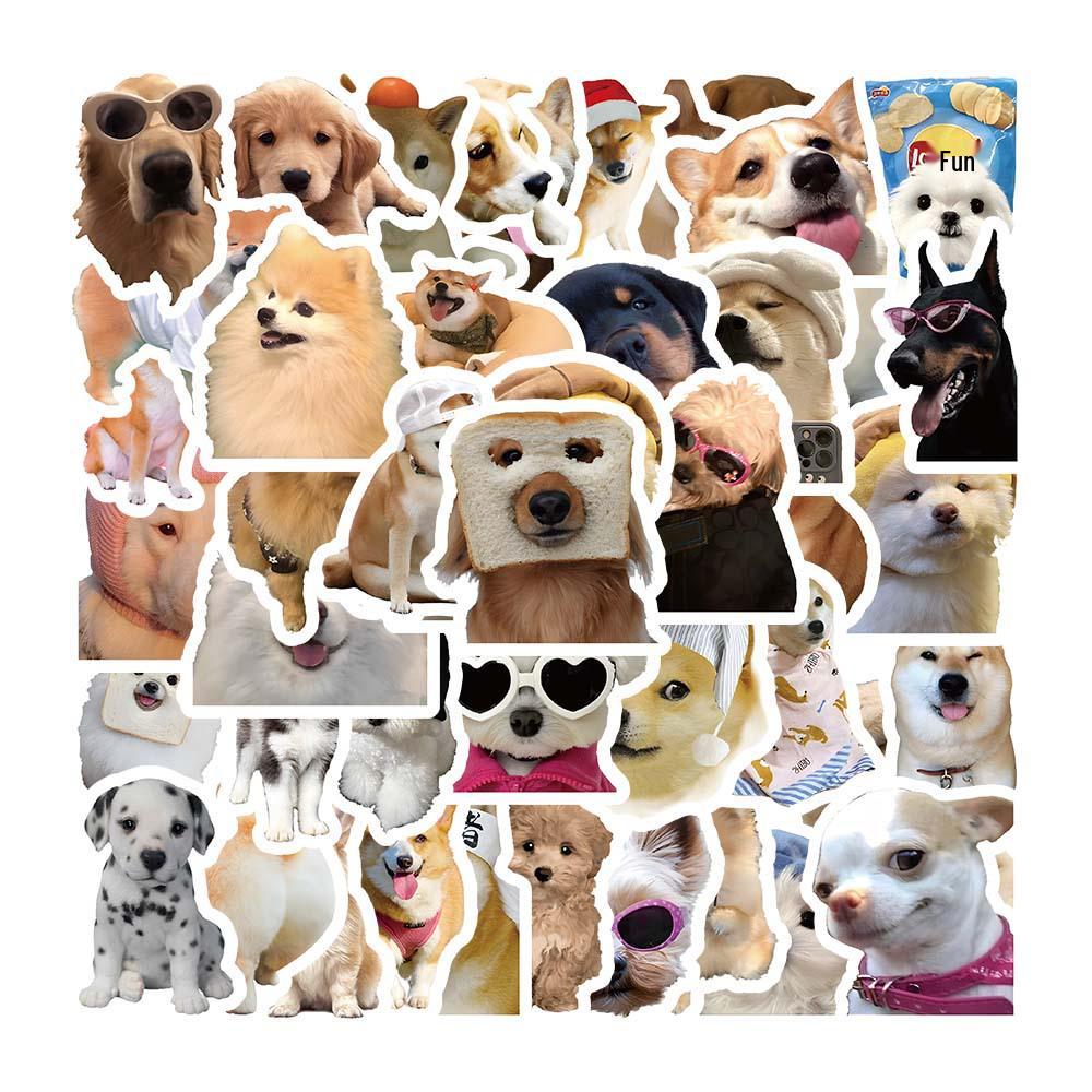 

100 Cute Kitten Stickers: Funny, Waterproof Decals for Laptops, Phones, and Water Bottles