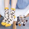 Chaozhu Spring Summer Transparent Crystal Silk Socks Women Sexy Leopard Grain Fashion Casual Breathable Calcetines Mujer