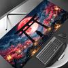 Accesorii pentru calculatoare – Mouse pad-uri și suporturi mână