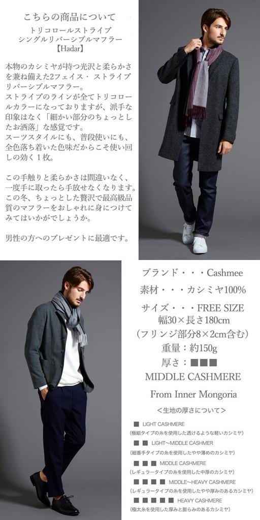 Cashmee Cashmere Tricolor Stripe Single Reversible Scarf Hadar Cashmere 100% / 3-Color (Gray (ST04))